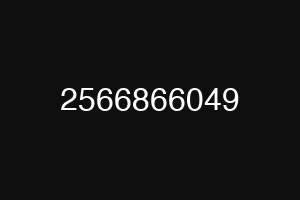 2566866049
