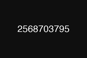2568703795