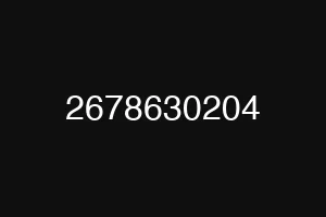 2678630204