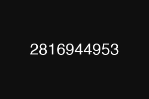 2816944953