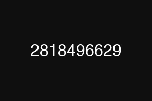 2818496629