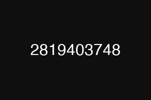 2819403748