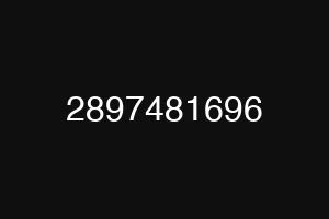 2897481696
