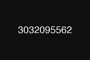3032095562