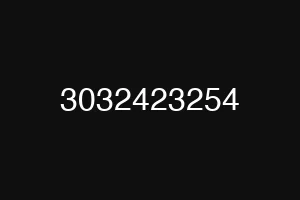 3032423254
