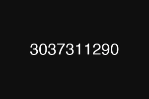 3037311290
