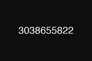 3038655822