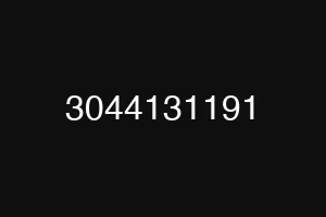 3044131191