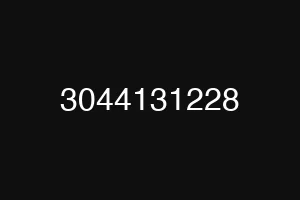 3044131228