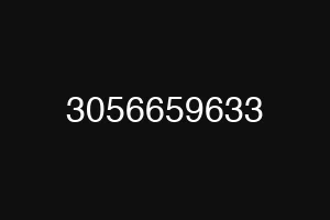 3056659633