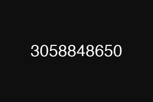 3058848650