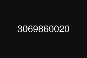 3069860020