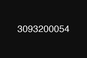 3093200054