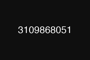 3109868051