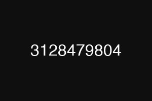 3128479804