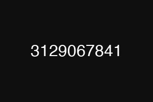 3129067841