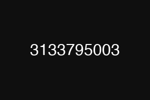 3133795003