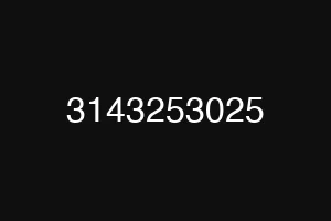 3143253025