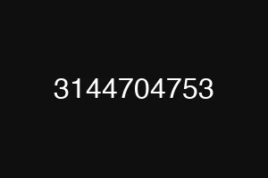 3144704753