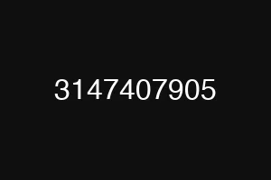 3147407905