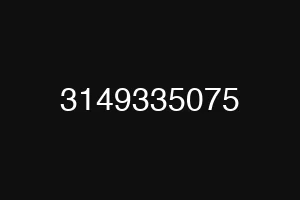 3149335075