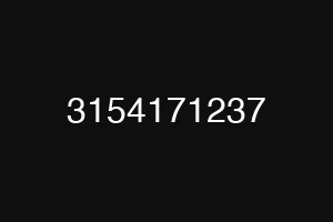 3154171237