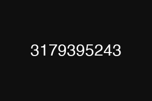3179395243