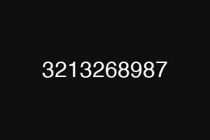 3213268987