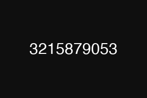 3215879053