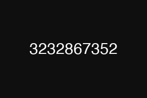 3232867352