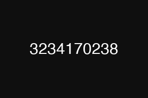 3234170238