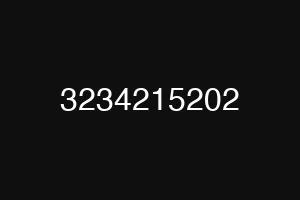 3234215202