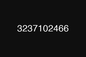 3237102466