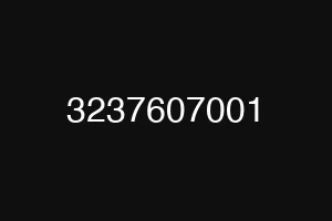 3237607001