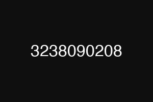 3238090208
