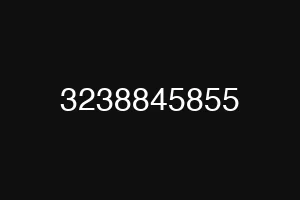 3238845855