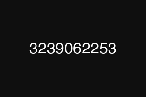 3239062253