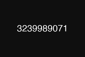 3239989071