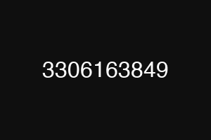 3306163849
