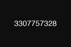 3307757328