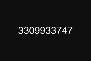 3309933747