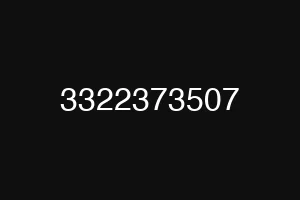3322373507