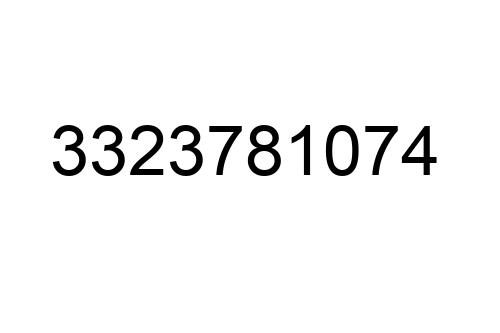 3323781074