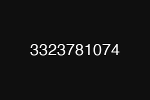3323781074