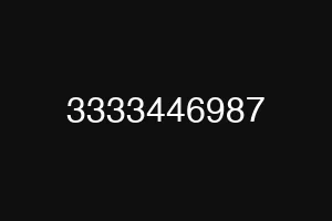 3333446987