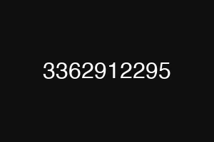 3362912295