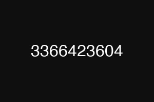 3366423604