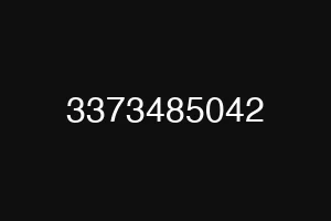 3373485042