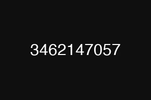 3462147057