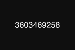 3603469258
